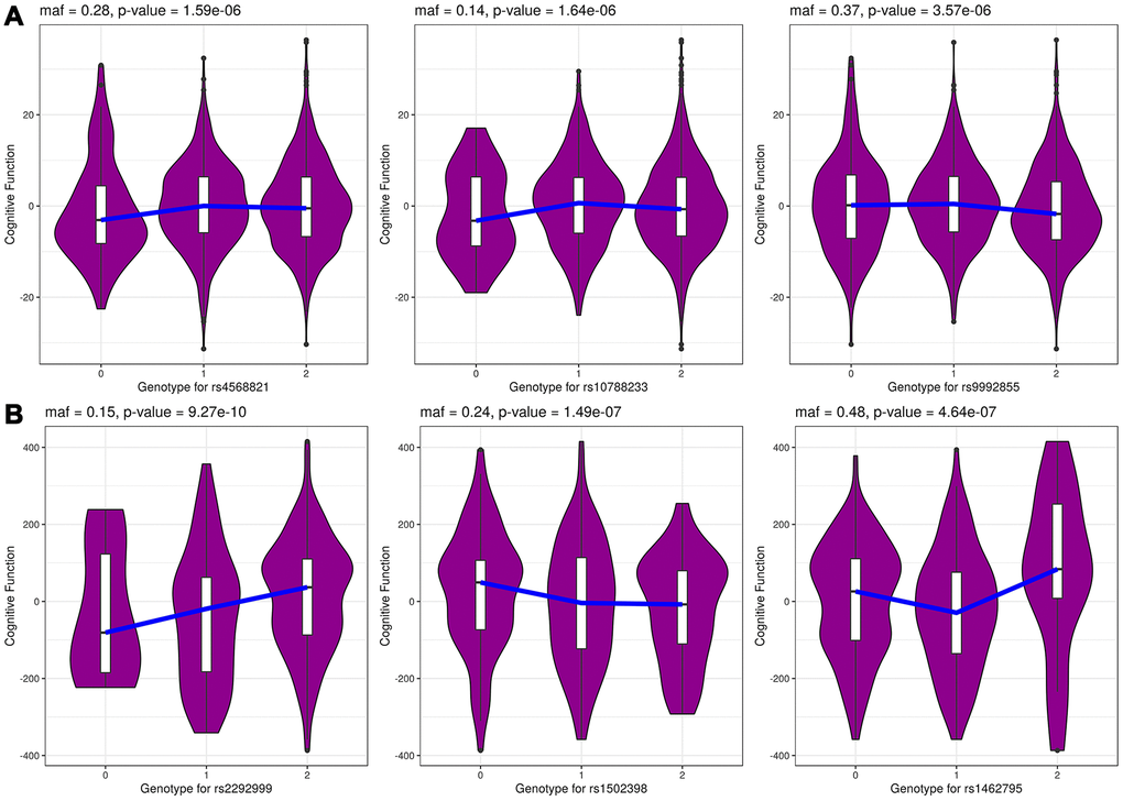 The genotype-specific density distribution for top 3 genotyped SNPs in Danish (A) and Chinese (B) samples from GCC model. The x-axis shows the SNP genotypes 0, 1 and 2 and y-axis shows cognitive function phenotype.