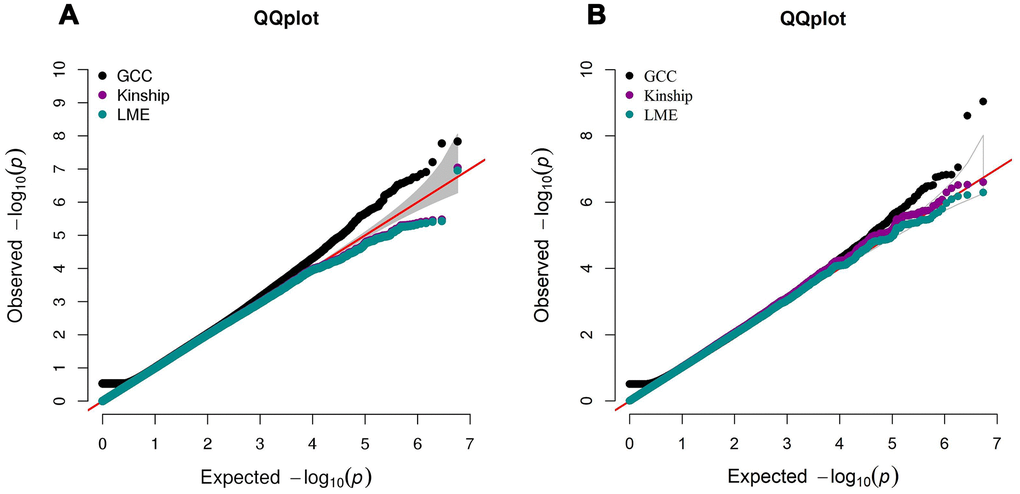 QQ plot comparing the performance of GCC, kinship and LME models in Danish (A) and Chinese (B) GWAS data. The left QQ plot is from Danish sample and the right QQ plot is from Chinese sample. In each plot, x-axis is the expected p-value and y-axis is the observed p-value from the GWAS.