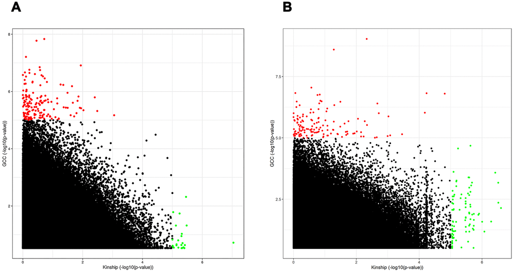 Scatter plot comparing the performance of SNPs in linear model to the GCC model in both Danish (A) and Chinese (B) samples. Th x-axis and y-axis show -log10(p-value) from Kinship and GCC models respectively.