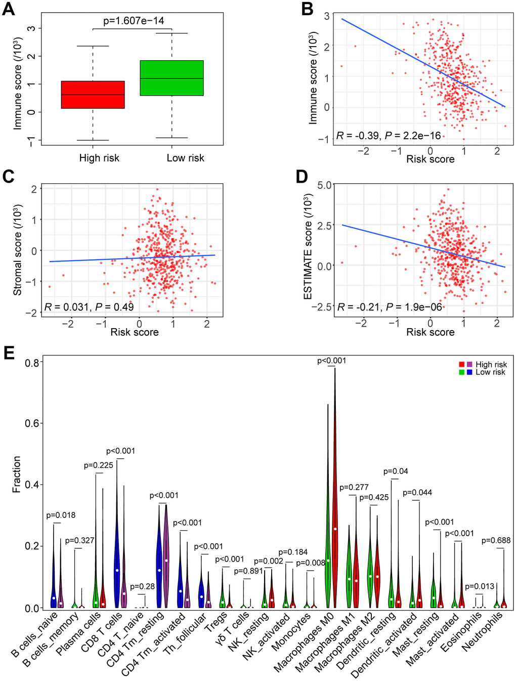 Association of the risk score with tumor immunity in the TCGA data set. (A) Distribution of immune scores according to the risk score of HNSCC patients. (B) Correlation of the risk score with the immune score in HNSCC samples. (C) Correlation of the risk score with the stromal score in HNSCC samples. (D) Correlation of the risk score with the ESTIMATE score in HNSCC samples. (E) Comparisons of immune cells between the high-risk and low-risk groups.