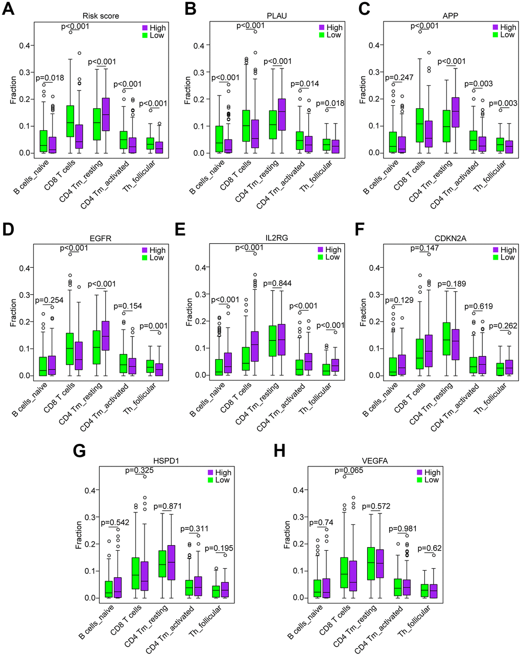 Correlation of the five immune cells with genes of the risk model in the TCGA data set. (A) Comparison of the five immune cells (naïve B cells, CD8 T cells, CD4 memory activated T cells and follicular helper T cells) between the high-risk and low-risk groups. (B–H) Distribution of the five immune cells based on the high expression and low expression of PLAU, APP, EGFR, IL2RG, CDKN2A, HSPD1 and VEGFA.