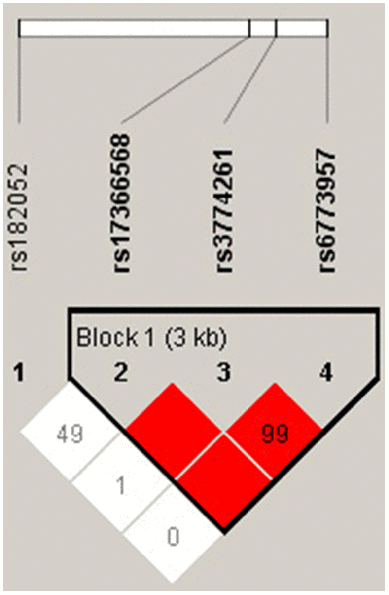 LD structure of the four polymorphisms in the ADIPOQ gene with Haploview analysis. Red squares indicate significant statistical LD between the pair of polymorphisms (D’ > 80).