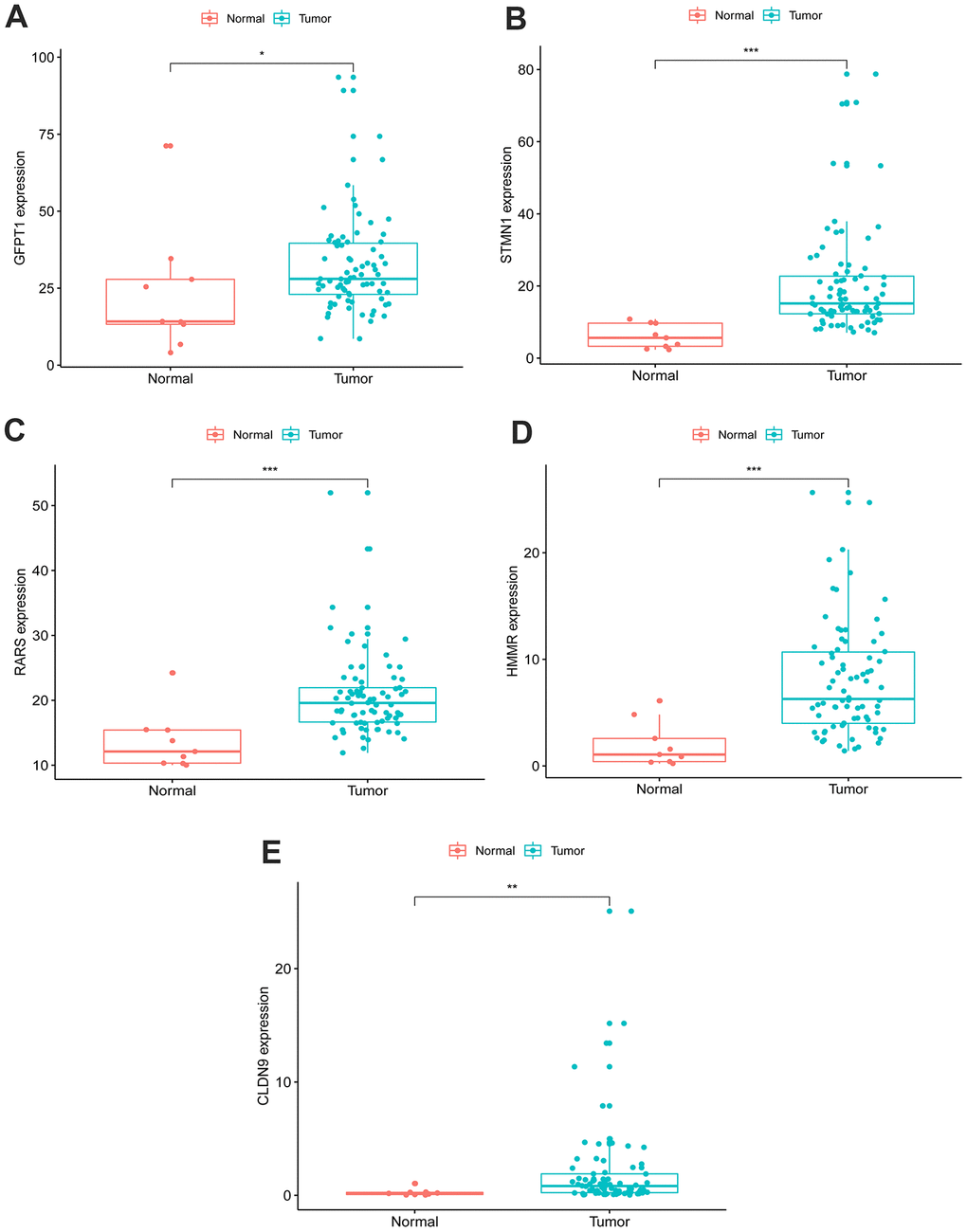 Expression of the five genes in EAC (n=78) and normal samples (n=9) with unpaired t test. (A) GFPT1, (B) STMN1, (C) RARS, (D) HMMR, (E) CLDN9.