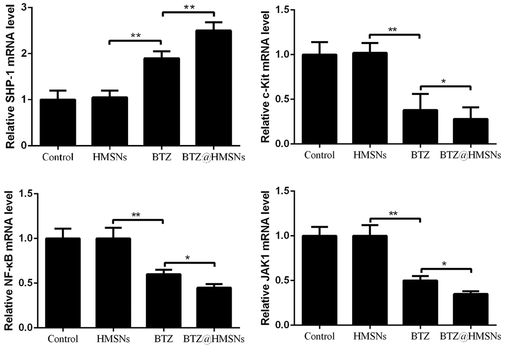 The mRNA levels of Src homology 1 domain-containing protein tyrosine phosphatase (SHP-1), c-Kit, nuclear factor-κB (NF-κB), and JAK1 in SNK-1 cells treated with PBS (control), HMSNs, BTZ (75 nM), BTZ@HMSNs (containing 75 nM of BTZ) by RT-PCR. BTZ, bortezomib; HMSNs, hollow mesoporous silica nanospheres. The differences between groups were analyzed by one-way ANOVA followed by multiple comparison with Tukey test. *P P 