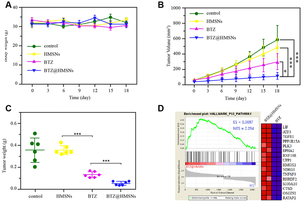 BTZ@HMSNs improves anti-tumor effect of BTZ on lymphoma. (A) The body weights of mice with different treatments, including PBS (control), BTZ (0.3 mg/kg), HMSNs, and BTZ@HMSNs (containing 0.3 mg/kg of BTZ), respectively, every three days for 18 days. (B) The tumor volumes of mice with different treatments every three days for 18 days. (C) The tumor weights of mice with different treatments on 18 days. (D) Gene set enrichment analysis (GSEA) of differentially expressed genes between the BTZ-treated tumors and BTZ@HMSNs-treated tumors. The differences between groups were analyzed by one-way ANOVA followed by multiple comparison with Tukey test. *P P 