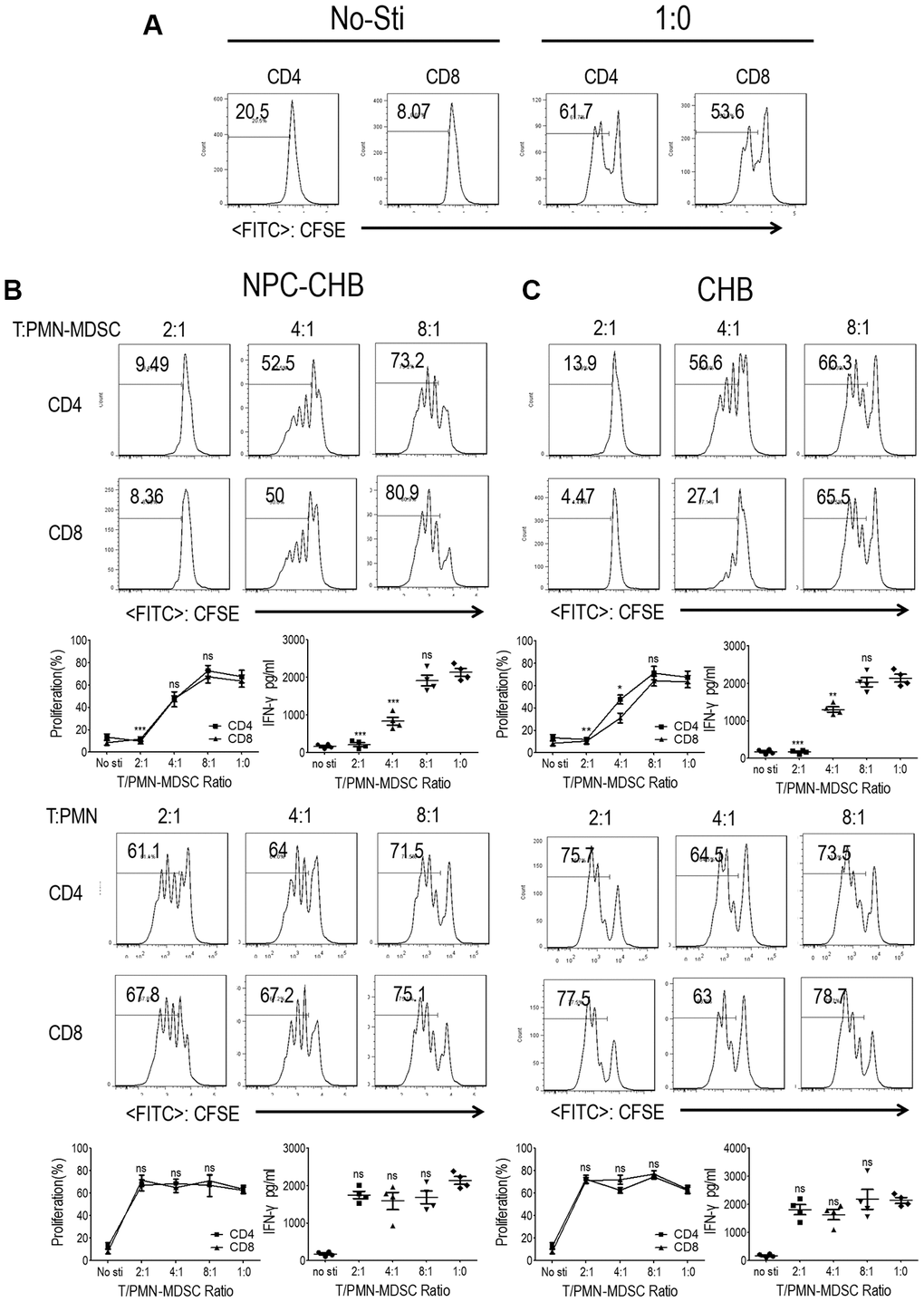 LOX-1+ PMN-MDSCs from NPC survivors with CHB and from patients with CHB suppressed T cell proliferation and activation. CD3+ T cells from PBMCs were labeled with CFSE, stimulated with anti-CD3 and anti-CD28, and then cocultured with LOX-1+ PMN-MDSCs or LOX-1- PMN from the same donors at different ratios for 3 days. CD4+ and CD8+ T cell proliferation was evaluated by CFSE labeling and IFN-γ production in supernatants by ELISA. (A) T cells receiving no anti-CD3/anti-CD28 stimulation were used as negative controls with stimulated T cells without the addition of LOX-1+ PMN-MDSC/PMN as a positive control. (B) The influence of LOX-1+ PMN-MDSCs or LOX-1- PMN from NPC survivors with CHB on T cell proliferation was displayed by representative of one independent experiment, cumulative data, and concentration of IFN-γ in the media. (C) The influence of LOX-1+ PMN-MDSCs or LOX-1- PMN from CHB patients on T cell proliferation was shown by representative of one independent experiment, cumulative data, and concentration of IFN-γ in the media. (Comparison was made between the 1:0 group and experimental groups), (n = 4 in each group) *, P P P 