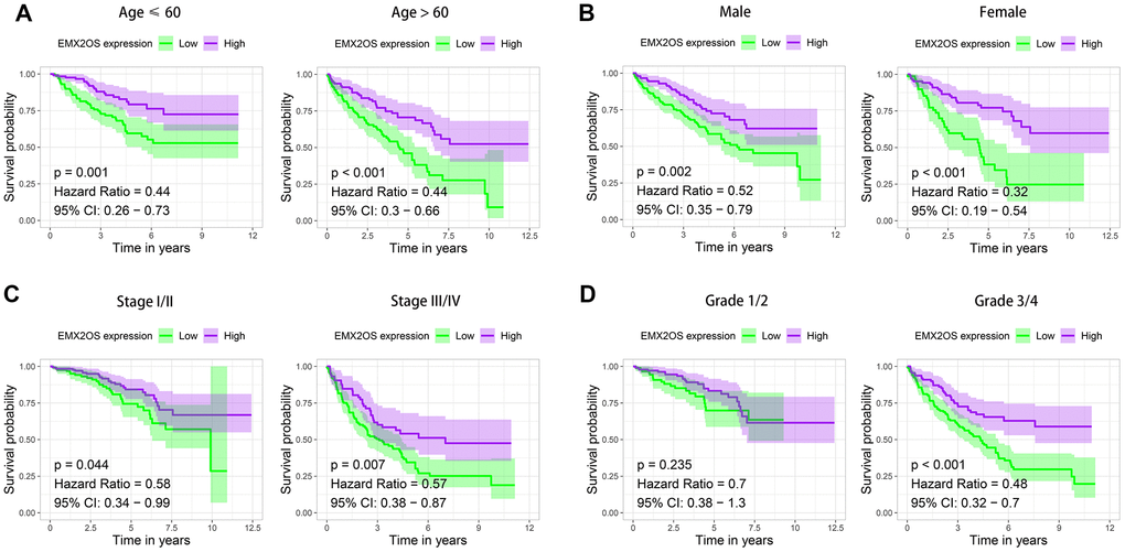 Kaplan–Meier survival analysis of EMX2OS expression according to age, gender, stage, and grade stratification. (A) Age ≤ 60 years and age > 60 years. (B) Male and female. (C) Stage I/II and stage III/IV. (D) Grade 1/2 and grade 3/4.