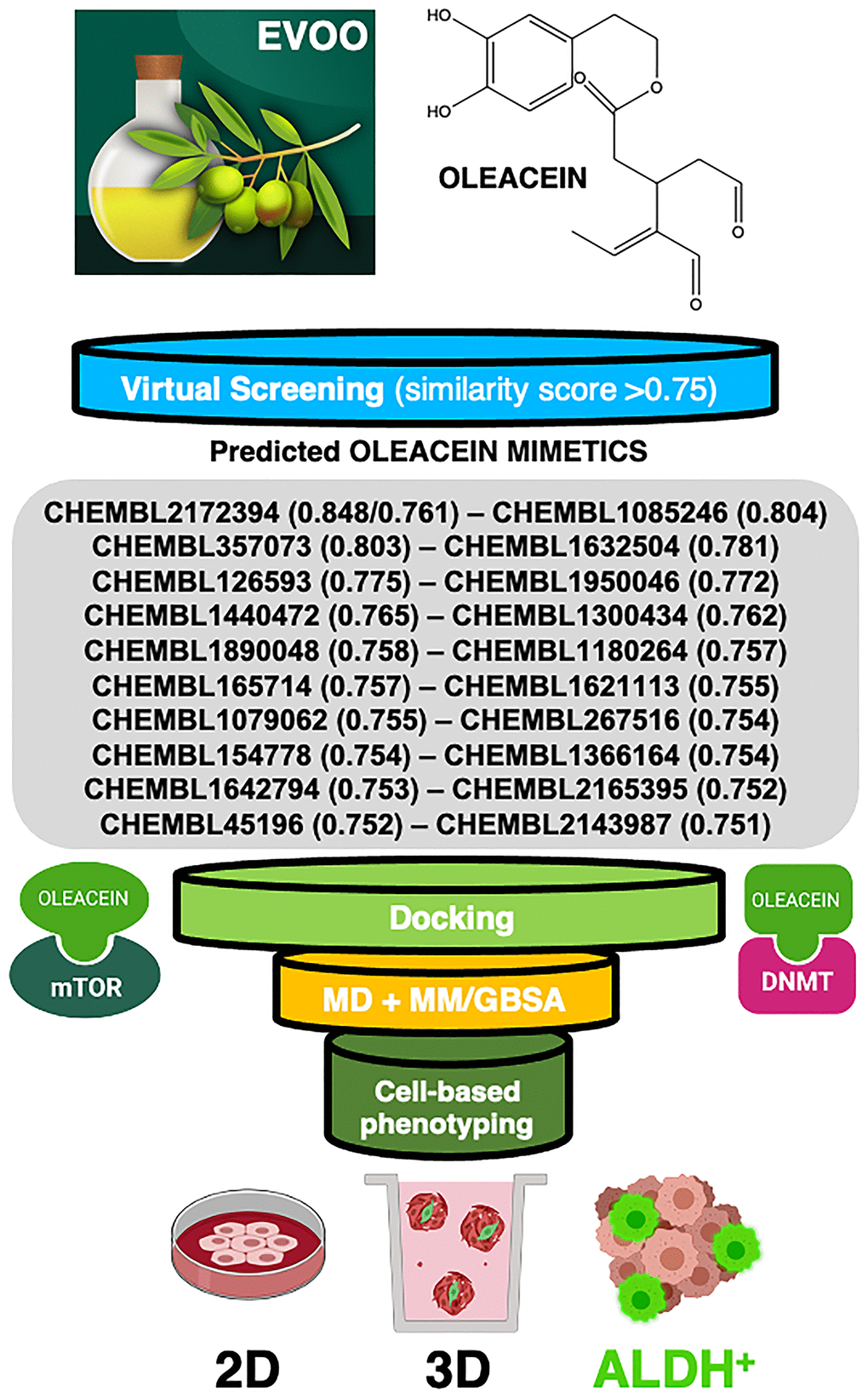 Computer-assisted discovery of oleacein biomimetics with anti-CSC activity. Schematic illustration of the computational framework coupled to laboratory-based phenotypic testing. The values in parentheses are similarity scores calculated with respect to parental oleacein.