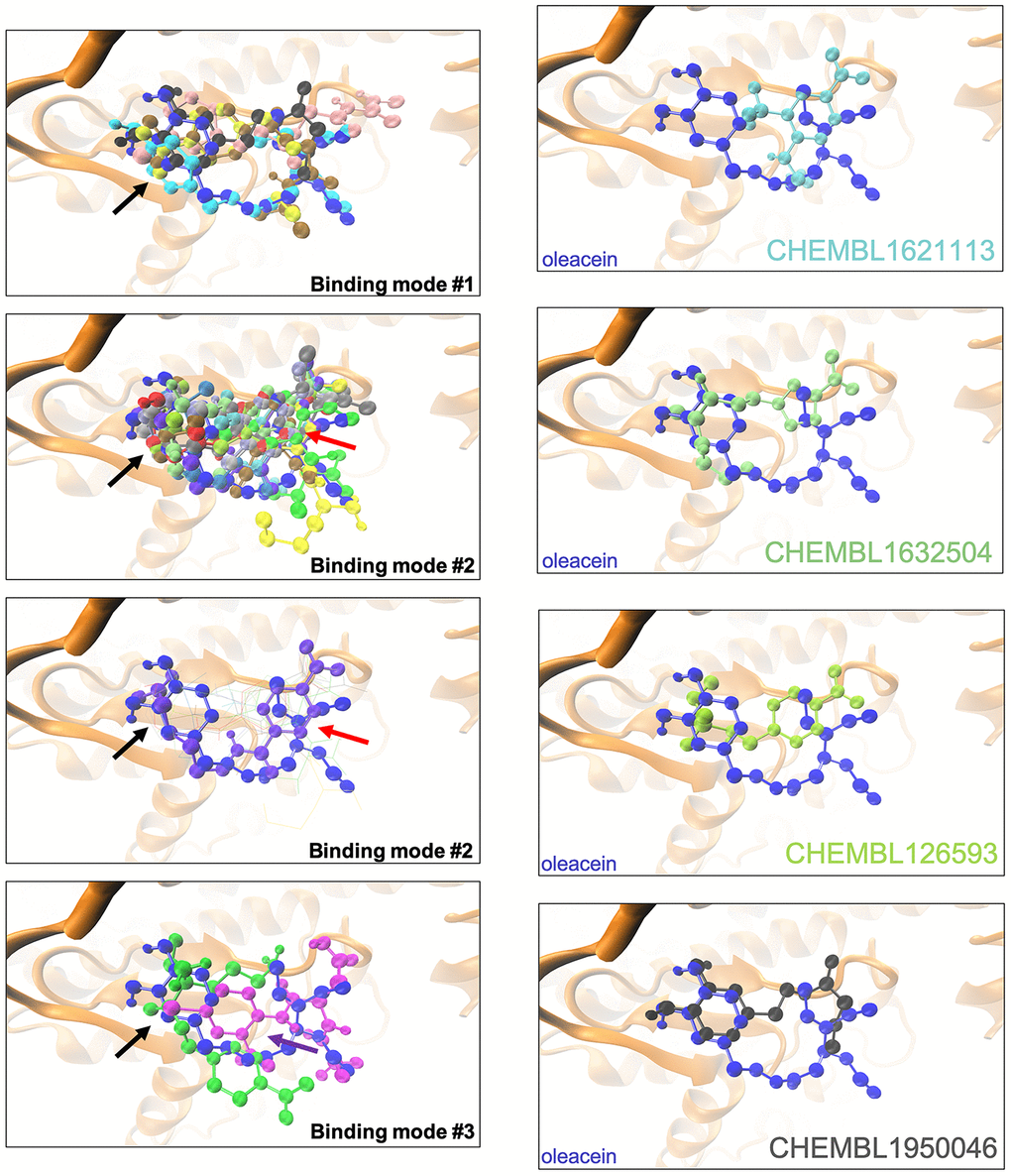 Binding modes of oleacein mimetics to mTOR. Left panels. Graphical representation of the binding modes of the computationally-predicted oleacein mimetics to the catalytic cavity of mTOR. The black, red, and purple arrows indicate the location of the aromatic rings in the binding modes #1, #2, and #3, respectively. Right panels. Graphical representation of the binding modes of parental oleacein and selected oleacein mimetics with anti-CSC activity (Figure 4, 5) to the catalytic cavity of mTOR.