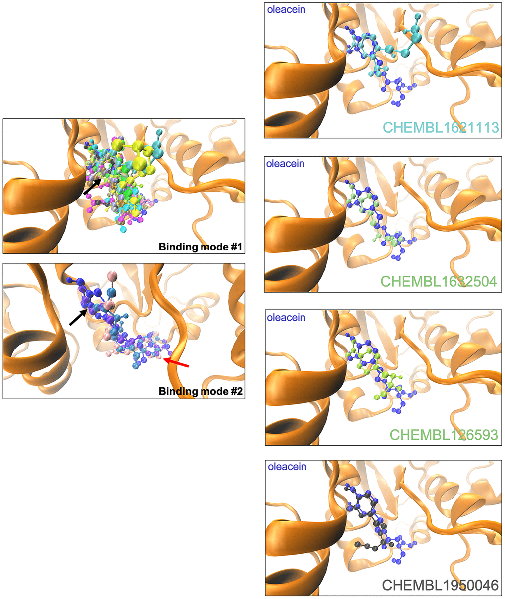 Binding modes of oleacein mimetics to DNMT.Left panels. Graphical representation of the binding modes of the computationally-predicted oleacein mimetics to the catalytic site of DNMT. The black and red arrows indicate the location of the aromatic rings in the binding modes #1 and #2, respectively. Right panels. Graphical representation of the binding modes of parental oleacein and selected oleacein mimetics with anti-CSC activity (Figures 4 and 5) to the catalytic cavity of DNMT.