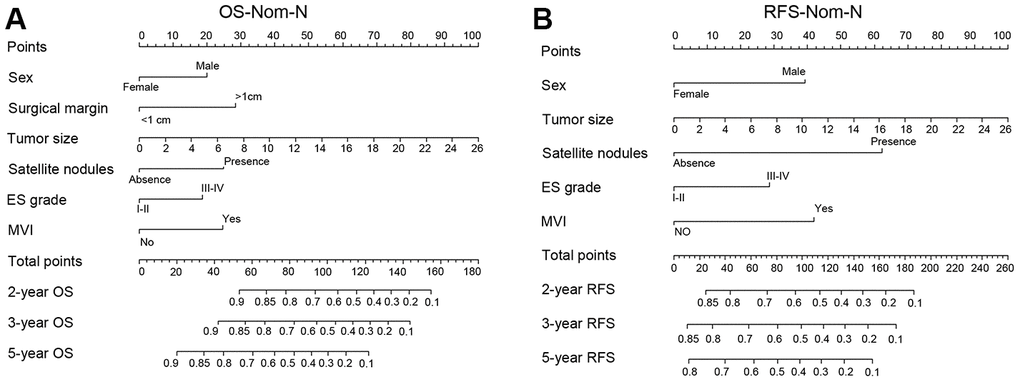 Nomograms for predicting prognosis of the matched normal menstruation group patients with HCC after PSM. (A) nomogram model of Overall survival (OS) (OS-Nom-N). (B) nomogram model of Recurrence free survival (RFS) (RFS-Nom-N).