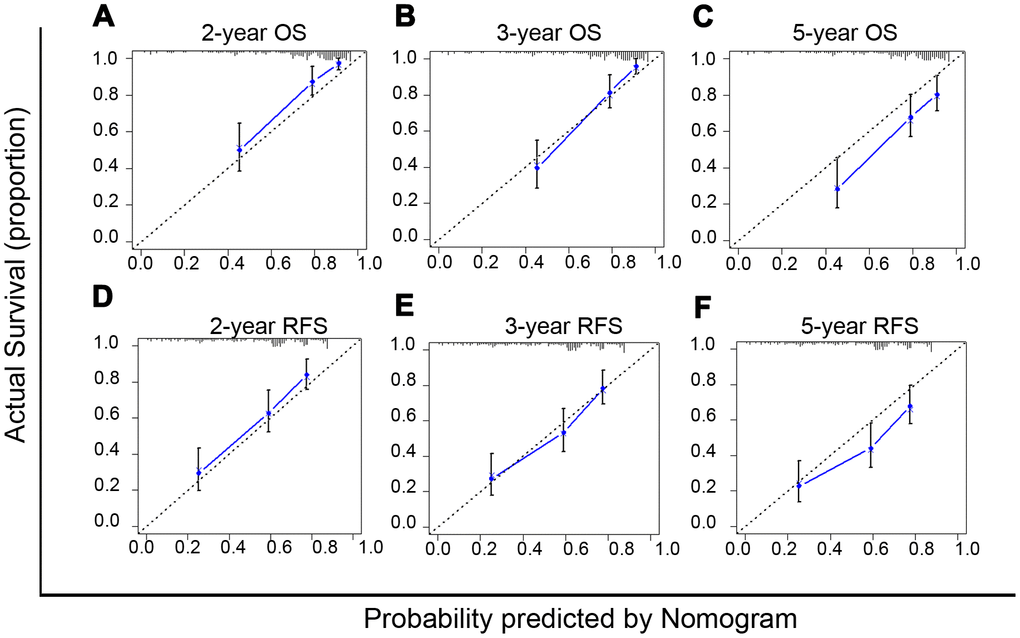 Calibration curves of nomograms for predicting overall survival (OS) (A–C) and recurrence free survival (RFS) (D–F) at 2-, 3- and 5-year in the matched normal menstruation group patients with HCC after PSM.