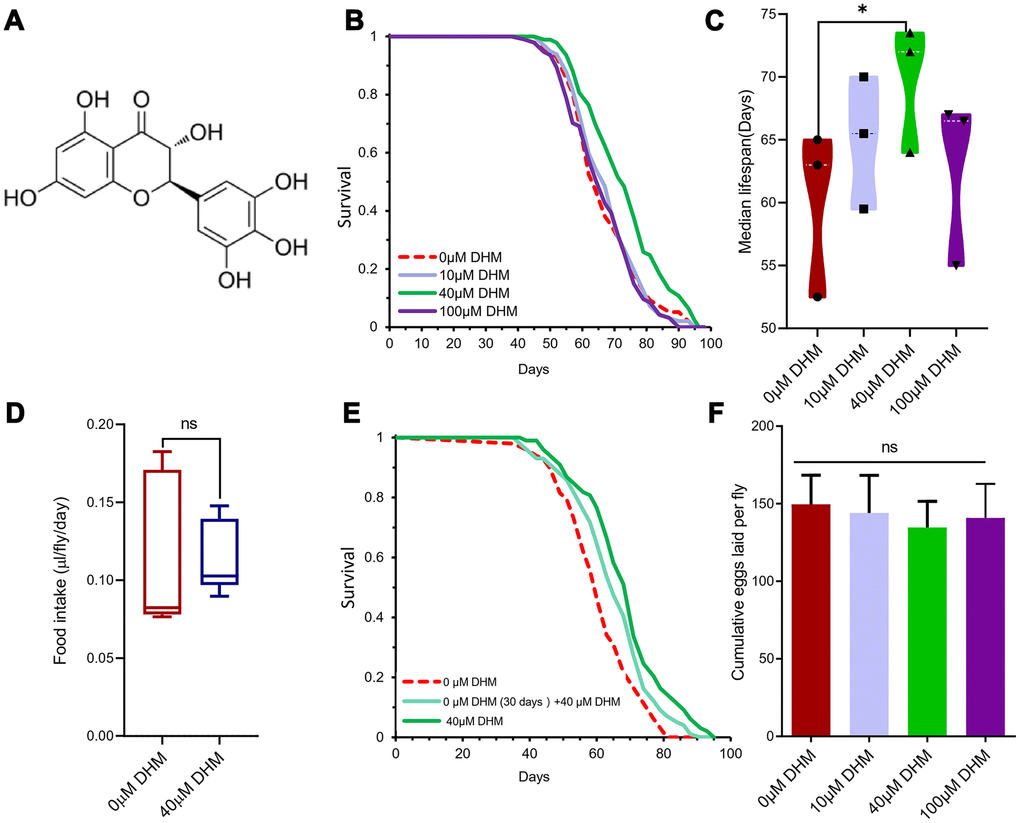 Dihydromyricetin promotes longevity and activates the