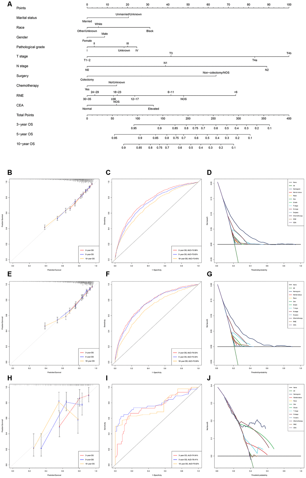 Development and verification of the nomogram predicting OS. (A) The nomogram of predicting OS for patients with EOLACC. (B) The calibration curves predicting OS in the training group. (C) The time-dependent ROC curves of nomogram predicting OS in the training group. (D) The decision curve analysis of the nomogram and all prognostic factors for OS in the training cohort. (E) The calibration curves predicting OS in the verification group. (F) The time-dependent ROC curves of nomogram predicting OS in the verification group. (G) The decision curve analysis of the nomogram and all prognostic factors for OS in the verification. (H) The calibration curves predicting OS in the external verification group. (I) The time-dependent ROC curves of nomogram predicting OS in the external verification group. (J) The decision curve analysis of the nomogram and all prognostic factors for OS in the external verification.