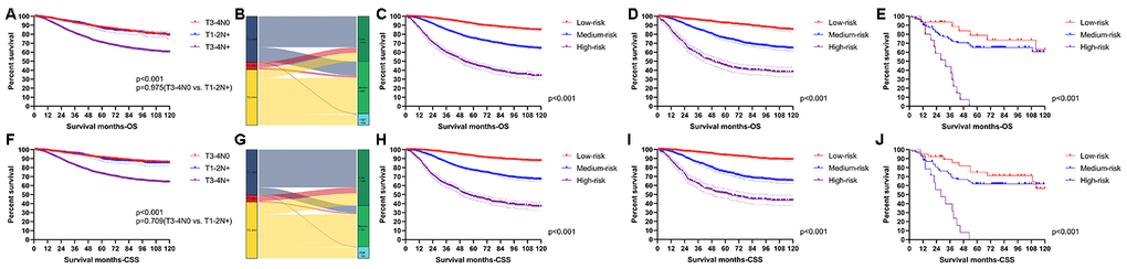 Performance of the nomograms in stratifying on the basis of risk points. (A) The difference of OS among T3-4N0, T1-2N+ and T3-4N+. (B) The correspondence between AJCC stage and the risk stratification based on the nomogram predicting OS. (C) OS in the subgroups according to the risk stratifying in the training cohort. (D) OS in the subgroups according to the risk stratifying in the verification cohort. (E) OS in the subgroups according to the risk stratifying in the external verification cohort. (F) The difference of CSS among T3-4N0, T1-2N+ and T3-4N+. (G) The correspondence between AJCC stage and the risk stratification based on the nomogram predicting CSS. (H) CSS in the subgroups according to the risk stratifying in the training cohort. (I) CSS in the subgroups according to the risk stratifying in the verification cohort. (J) OS in the subgroups according to the risk stratifying in the external verification cohort.