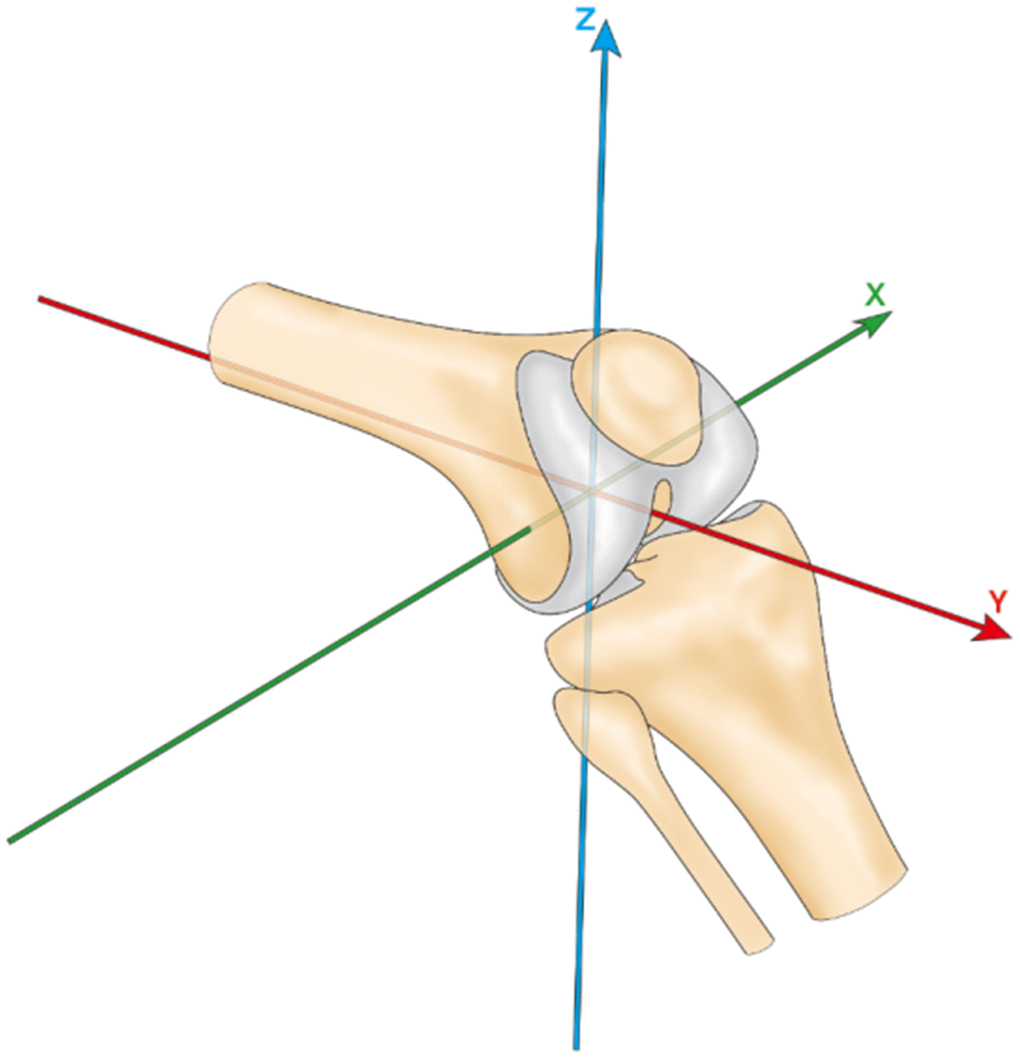 Knee coordinate system.