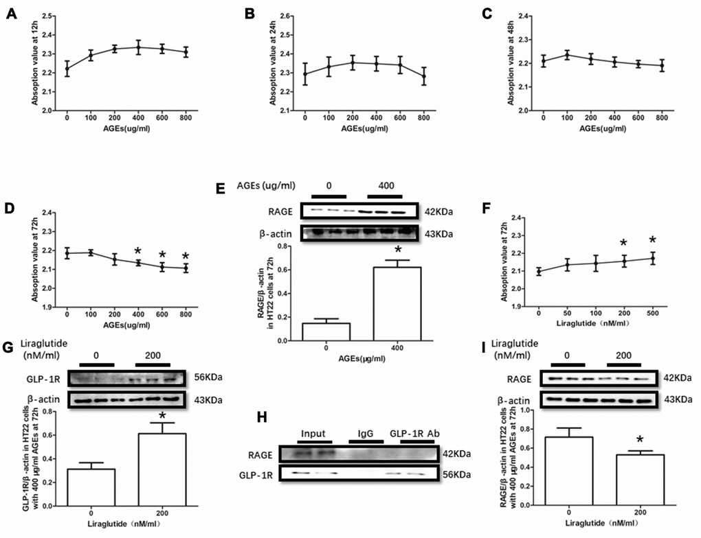 Liraglutide restored cells viability decline and up-regulated RAGE by AGEs in HT22 cells. Results in (A–C) did showed lower cells viability HT22 cells with AGEs at different concentrations than those without AGEs. "*"of (D) cells viability is lower of HT22 cells with AGEs at a concentration of 400ug/ml, 600ug/ml or 800ug/ml than those without AGEs; "*" of (E) significant difference of RAGE levels between HT22 cells with AGEs at a concentration of 400ug/ml; "*" of (F) cells viability is higher of HT22 cells with AGEs at a concentration of 400ug/ml and liraglutide at a concentration of 200nM/ml than those with AGEs at a concentration of 400ug/ml but without liraglutide. "*" of (G, I) significant difference of RAGE levels between HT22 cells (with AGEs at a concentration of 400ug/ml) with liraglutide at a concentration of 200nM/ml and those without liraglutide. Results in (H) did not showed the direct interaction between GLP-1R and RAGE in HT22 cells.