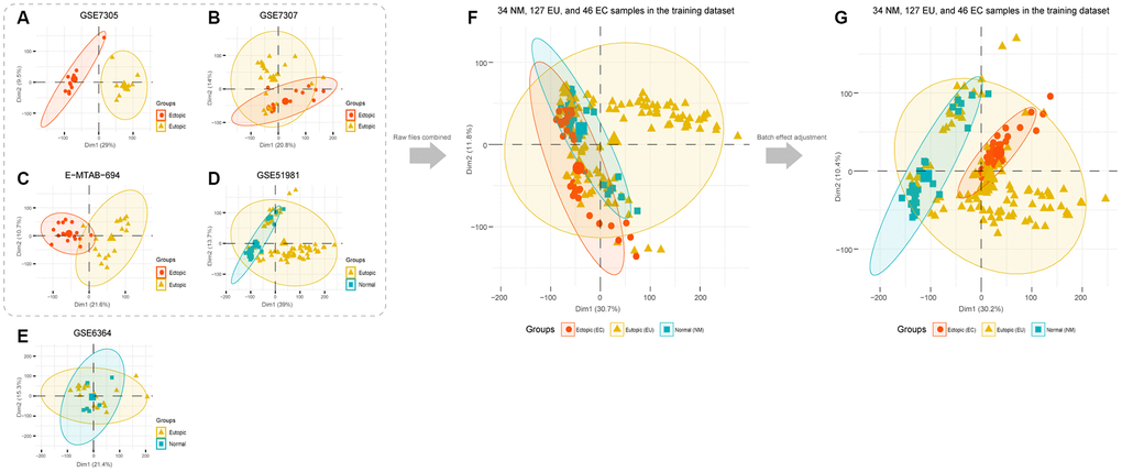 PCA analysis of EMs microarray candidate datasets. PCA analysis was performed in each microarray dataset: (A) GSE7305, (B) GSE7307, (C) E-MTAB-694, (D) GSE51981, and (E) GSE6364. (F) Datasets that showed good performance in the PCA analysis were selected to merge. (G) PCA analysis was performed after batch effect adjustment. EMs, endometriosis; PCA, the principal component analysis.