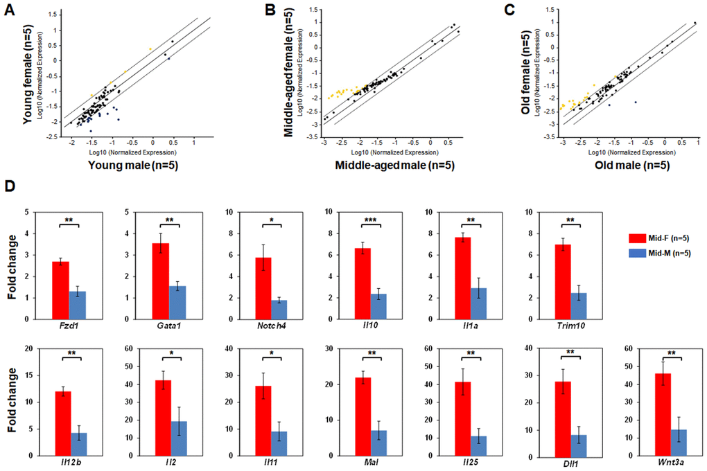 Comparisons of relative hematopoietic gene expression in BM-derived LSK cells between male and female of young, middle-aged and old mice. (A) Comparison between young female and young male mice. (B) Comparison between middle-aged female and middle-aged male mice. (C) Comparison between old female and old male mice. Yellow dots indicate genes with potentially higher level of expression in mice of y-axis than that in mice of x-axis; black dots indicate genes with comparable level of expression; blue dots indicate genes with potentially lower level of expression in mice of y-axis than that in mice of x-axis. (D) Real time PCR on individual genes represented by yellow dots from (B) was carried out to confirm that they had a significantly higher expression in LSK cells from middle-aged female than middle-aged male mice. * P 