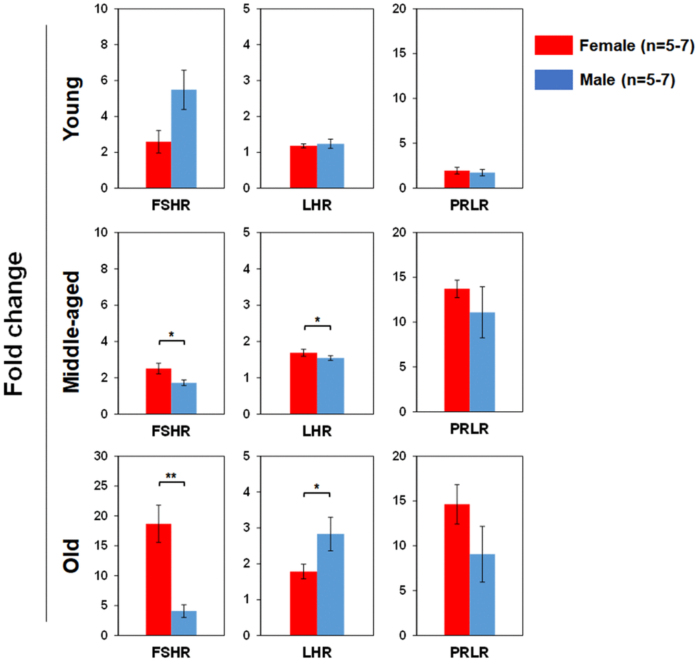 Comparisons of relative pituitary SexHR gene expression between male and female of young, middle-aged and old mice. Total RNA was purified from LSKs of indicated mice and subjected to real-time PCR to detect gene expression. GAPDH was used as a reference gene to normalize each gene expression. Left panels: FSHR gene expression between male and female of young, middle-aged and old mice. Middle panels: LHR gene expression between male and female of young, middle-aged and old mice. Right panels: PRLR gene expression between male and female of young, middle-aged and old mice. FSHR: follicle-stimulating hormone receptor, LHR: luteinizing hormone receptor, PRLR: prolactin receptor. * P 