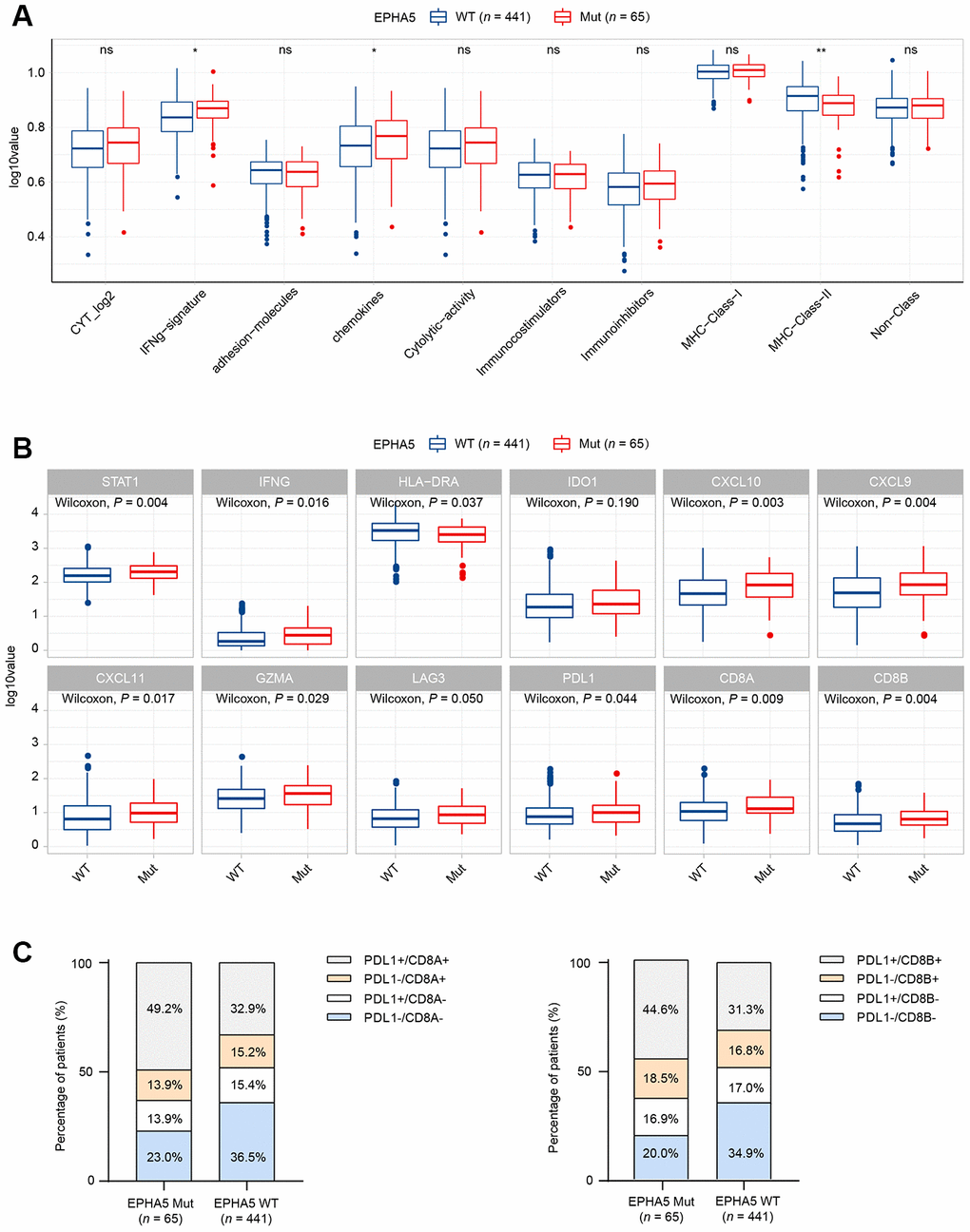 Alterations in EPHA5 are associated with enhanced immunity in the TCGA LUAD cohort. (A) IFN-γ and chemokine signatures were enriched in EPHA5-Mut tumors. The ordinate log10value represents log10(ssGSEA score+1). (B) The expression levels of immune checkpoint inhibitor genes were significantly higher in EPHA5-Mut tumors than in EPHA5-WT tumors. The ordinate log10value represents log10(TPM+1). (C) A higher proportion of PDL1+/CD8+ cells was observed in EPHA5-Mut tumors than in EPHA5-WT tumors.