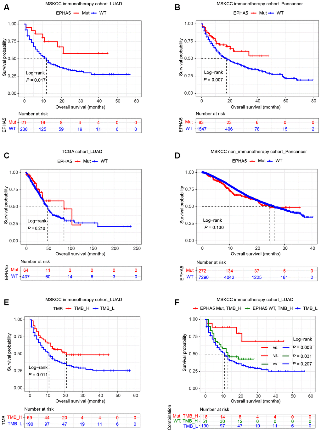 Relation of EPHA5 to clinical outcomes in LUAD. Patients with tumors harboring EPHA5 mutations had longer OS times than those with tumors without EPHA5 mutations in the MSKCC immunotherapy cohort: (A) LUAD set, (B) pancancer set. The OS time did not differ significantly between EPHA5-Mut and EPHA5-WT patients not treated with immunotherapy in the (C) TCGA LUAD or (D) MSKCC pancancer cohort. (E) High tumor mutation burden (TMB