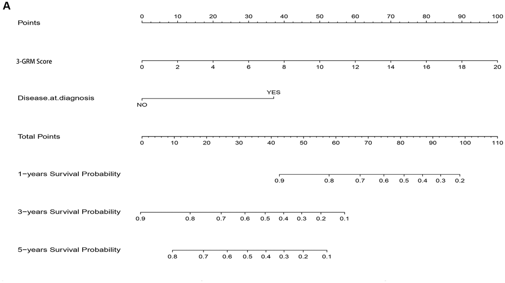 Nomogram model for predicting the outcome of OSs patients. (A) Nomogram model for predicting the probability of 1, 3, and 5-year overall survival (OS) for adolescent and young adults with osteosarcoma.