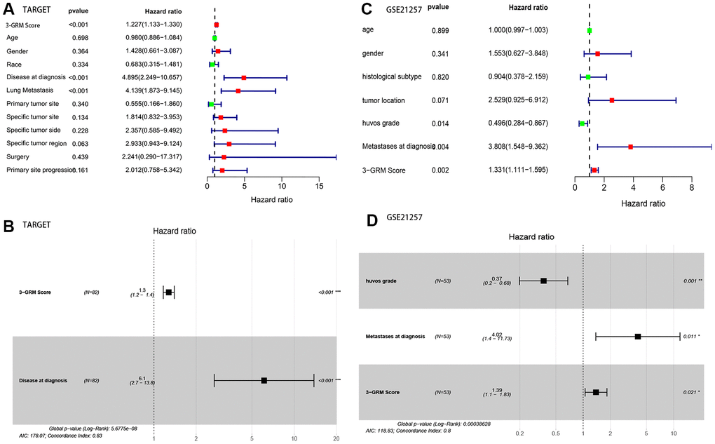Analysis of prognostic factors of OSs patients. (A, B) Univariate and multivariate regression analysis of the relation between the 3-GRM and clinicopathological features in TARGET. (C, D) Univariate and multivariate regression analysis of the relation between the 3- GRM and clinicopathological features in GSE21257.