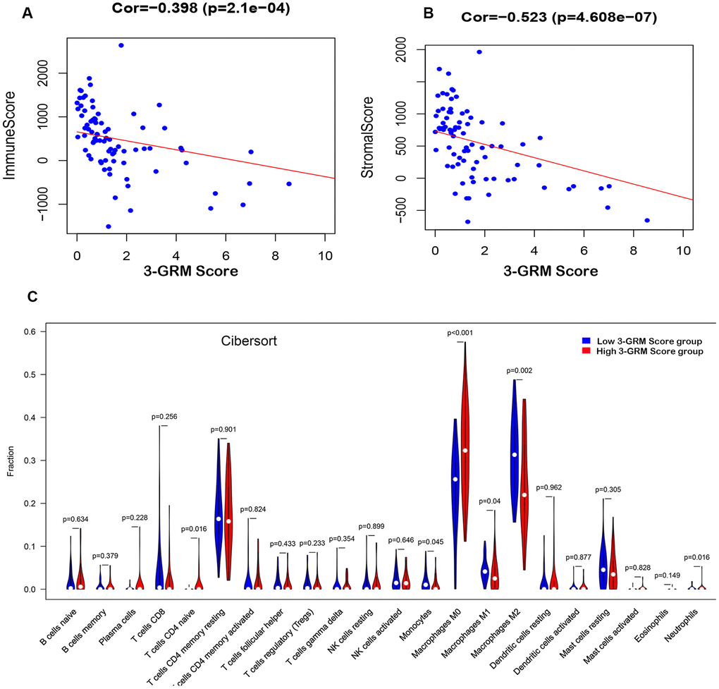 Relationship between the 3-GRM score and the immune/stromal score, and the level of TIICs. (A) The relationship between the 3-GRM score and the immune score by Estimate. (B) The relationship between the 3-GRM score and the stromal score. (C) Comparison of the levels of TIICs between high 3-GRM score group and low 3-GRM score group by Cibersort. The horizontal axis represents the type of TIICs, and the vertical axis represents the relative percentage. NS, no significance; TIICs, tumour-infiltrating immune cells.