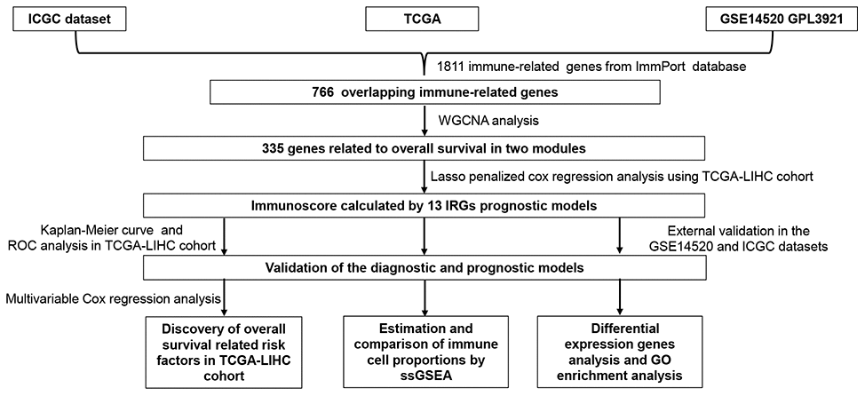 Flowchart describing the process used to identify and validate the immunoscore of hepatocellular carcinoma.