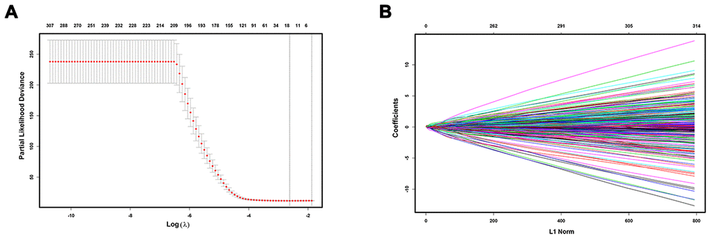 Construction of immunoscore model. LASSO deviance profiles (A) and LASSO coefficient profiles (B).