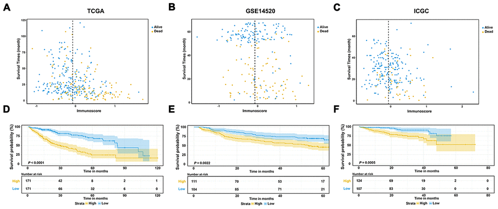 Evaluation and validation of the prognostic performance of immunoscore in three independent cohorts. (A–C) Distribution between the immunoscore and survival data in TCGA dataset (A), GSE14520 dataset (B), and ICGC dataset (C), respectively; (D–F) Kaplan-Meier survival curves of the immunoscore in TCGA, GSE14520, and ICGC datasets.