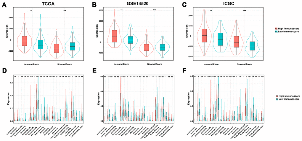 The relationship among immune score, stromal score and immunoscore. (A) TCGA dataset; (B) GSE14520 dataset; (C) ICGC dataset. The difference of tumor-infiltrating immune cells among two immunoscore groups. (D) TCGA datasets; (E) GSE14520 datasets; (F) ICGC datasets.