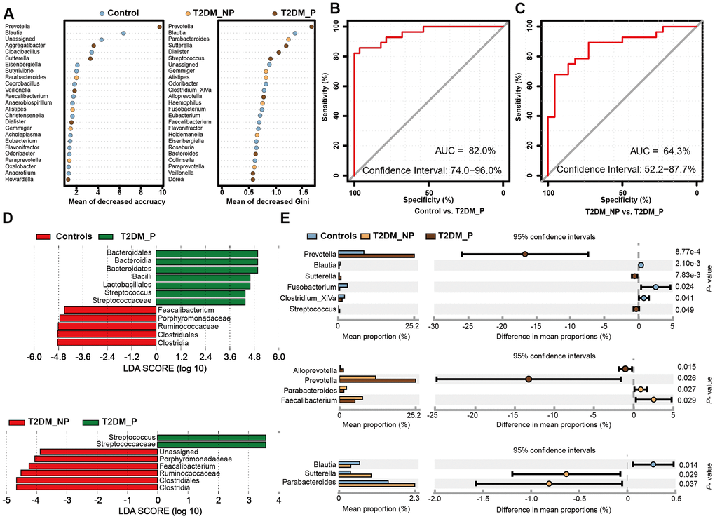 Microbial biomarkers between healthy volunteers and patients with diabetes and periodontitis or diabetes alone. (A) Microbial markers of the T2DM