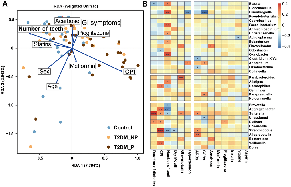 The clinical correlates of gut microbiota at genus level. (A) Redundancy analysis (RDA) plot of bacterial diversity and seven non-collinear variables. (B) Correlation between the gut microbial biomarkers and multiple clinical parameters.