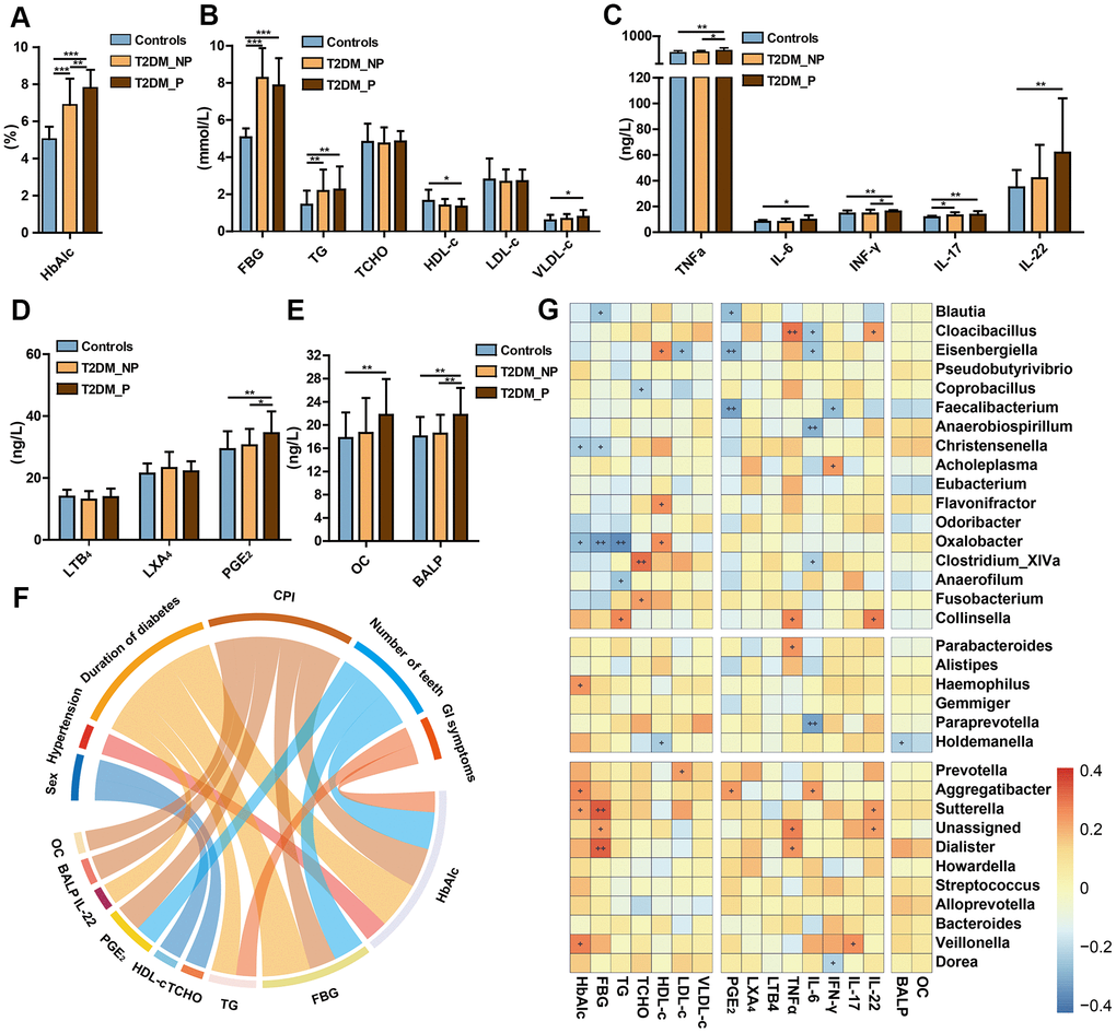 Relationships of periodontal condition, altered gut microbiota, and peripheral risk markers in elderly individuals. Levels of HbA1c (A), FBG and lipids (B), cytokines (C), eicosanoids (D), and bone metabolic markers (E) in T2DM