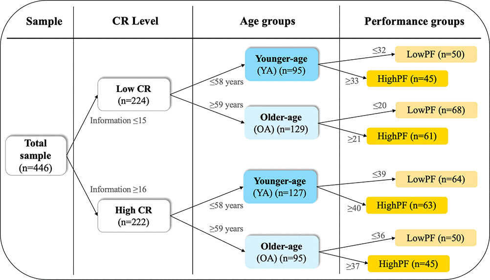 Cohort stratification. The cohort was stratified into groups of CR, performance in phonemic fluency, and age, using the median values for these variables as shown next to the arrows in the Figure. CR, cognitive reserve. PF, phonemic fluency performance.