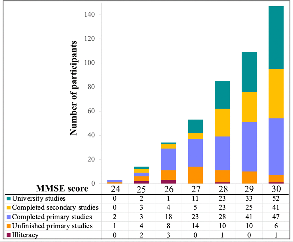 MMSE scores by education level. MMSE: Mini-Mental State Examination.