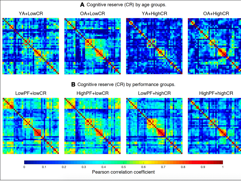 Weighted correlation matrices (See Supplementary Figures 1–8 for matrices with larger size and labeled regions). (A) Cognitive reserve by age groups: YA+LowCR, younger age group with low CR; OA+LowCR, older age group with low CR; YA+HighCR, younger age group with high CR; OA+HighCR, older age group with high CR. (B) Cognitive reserve by performance groups: LowPF+lowCR, low performance group with low CR; HighPF+lowCR, high performance group with low CR; LowPF+highCR, low performance group with high CR; HighPF+highCR, high performance group with high CR. Rows and columns correspond to the correlations between cognitive measures. The color bar indicates the strength of the Pearson correlation coefficients: colder colors represent weaker correlations, while warmer colors represent stronger correlations.