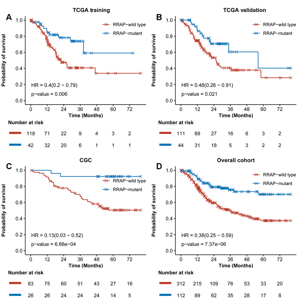 Training and validation of RRAP. Kaplan-Meier survival curves for RRAP-wild type and RRAP-mutant patients in the (A) TCGA training cohort, (B) TCGA validation cohort, (C) an independent CGC cohort, (D) and the overall cohort containing merged data from the three cohorts. P-values were estimated with the log-rank test, and hazard ratios (HRs) were estimated with the Cox model.