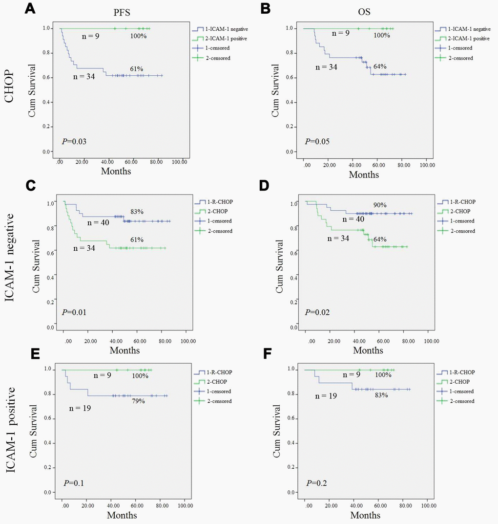 Progression-free survival (PFS) and overall survival (OS) of DLBCL patients in our study. Kaplan-Meier curves showing the association between ICAM-1 expression and PFS (A), OS (B) of DLBCL patients treated with CHOP regimen. R-CHOP could significantly improve PFS (C) and OS (D) in ICAM-1 negative expression patient compared to CHOP patients. In ICAM-1 positive patient, no statistical difference of PFS (E) and OS (F) between R-CHOP and CHOP group. All the P values are shown in the graph, by log-rank test.