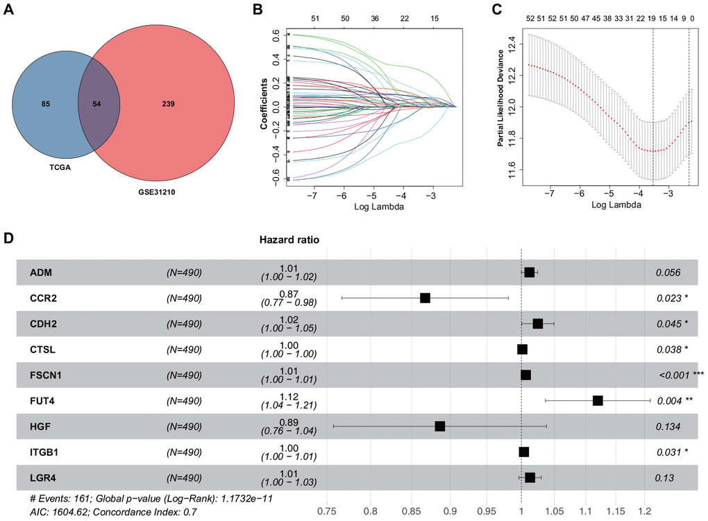 Construction of the ERG signature. (A) Identification of ERGs correlated with survival. (B) LASSO coefficients of the ERGs. Each curve represents an ERG. (C) Cross-validation of gene selection using 1-SE criteria in the LASSO regression analysis. (D) Forest plot of multivariate Cox regression analysis.