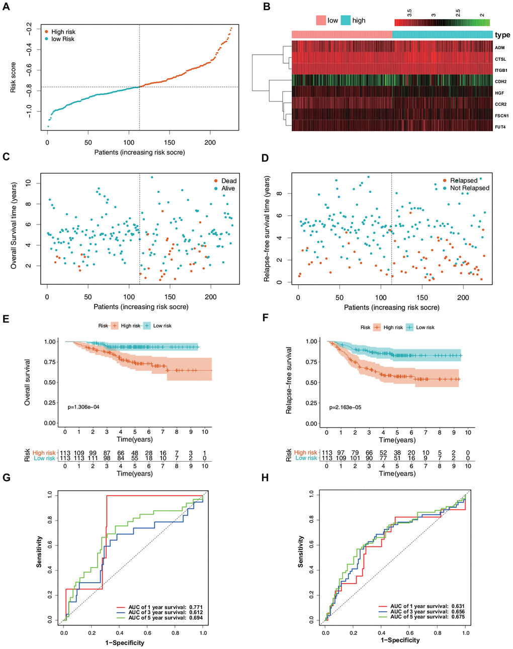 Verification of the predictive value of the ERG signature for LUAD in the validation set (GSE31210). (A) Risk signature rank and score distribution. (B) Heatmap of the mRNA expression levels of the nine genes included in the signature. (C) Distribution of patients in the high- and low-risk groups based on their survival status (OS). (D) Distribution of patients in the high- and low-risk groups based on their survival status (RFS). (E) OS of the patients in the low- and high-risk groups. (F) RFS of the patients in the low- and high-risk groups. (G) Time-dependent ROC curve analysis for the prediction of 1-, 3-, and 5-year OS using the ERG signature. (H) Time-dependent ROC curve analysis for the prediction of 1-, 3-, and 5-year RFS using the ERG signature.