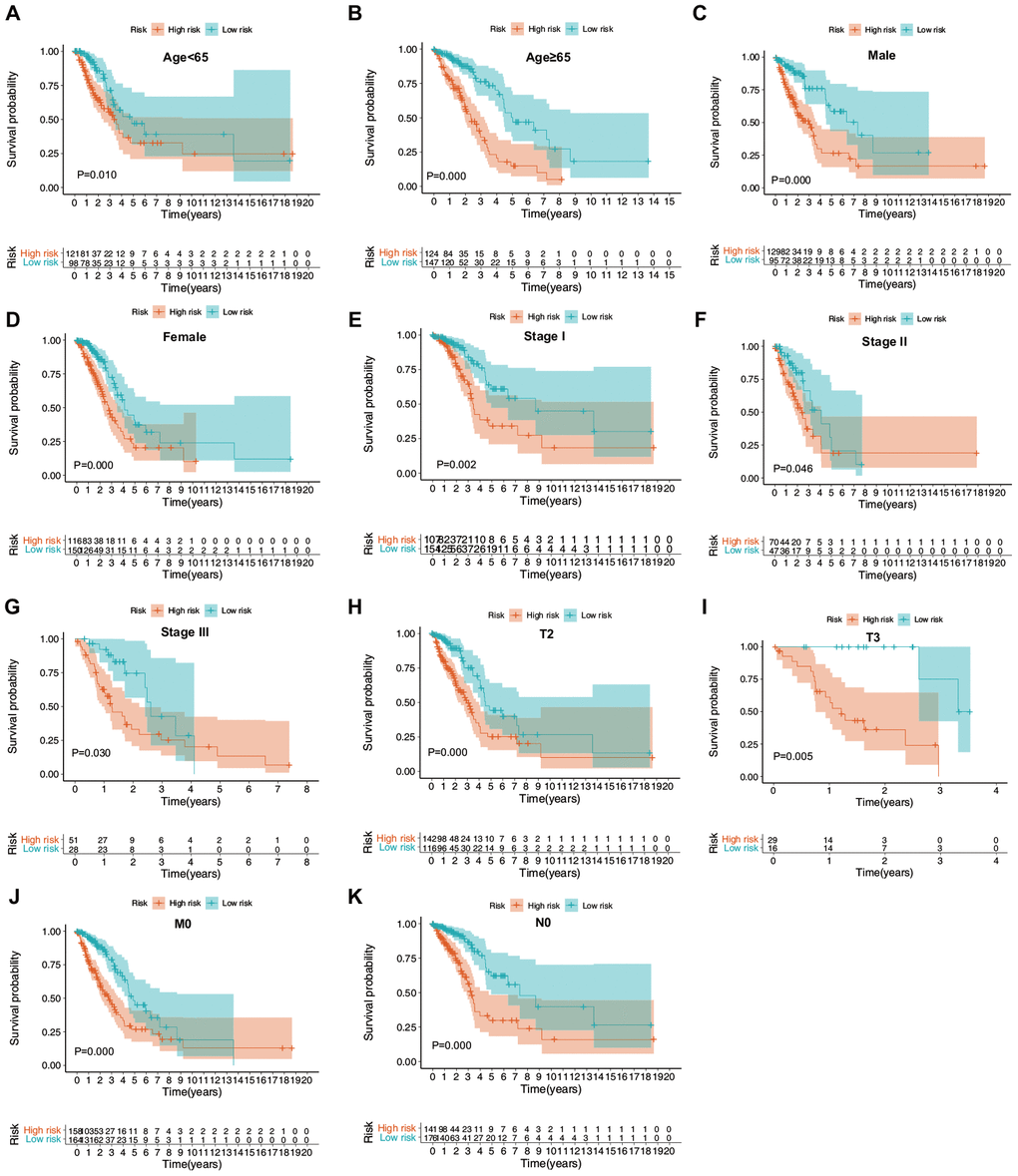 Confirmation of the ERG signature via stratification of patients from the training set based on specific demographic and clinical features. (A) Age B) age ≥ 65 years; (C) male; (D) female; (E) stage I; (F) stage II; (G) stage III; (H) T2; (I) T3; (J) M0; and (K) N0.