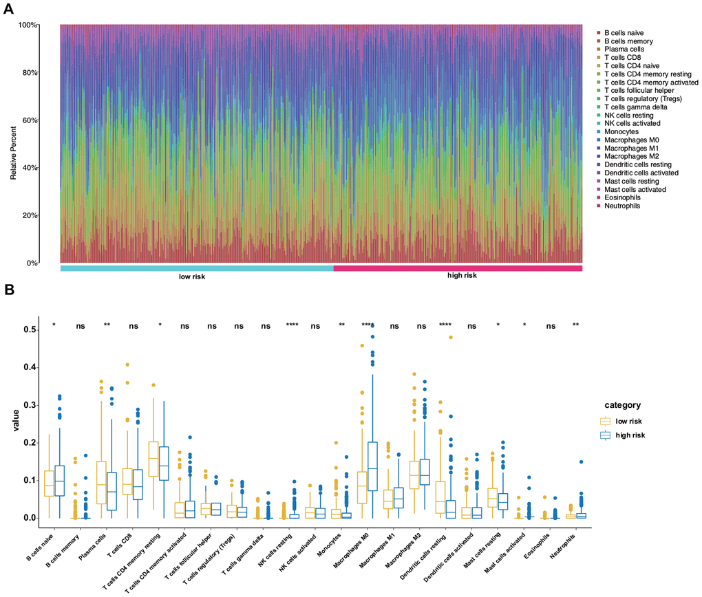 Differences in the immune landscape between low- and high-risk patients with LUAD. (A) Relative proportions of immune cell infiltration in the high- and low-risk patients. (B) Vioplot visualization of significantly different proportions of immune cells between low- and high-risk patients.