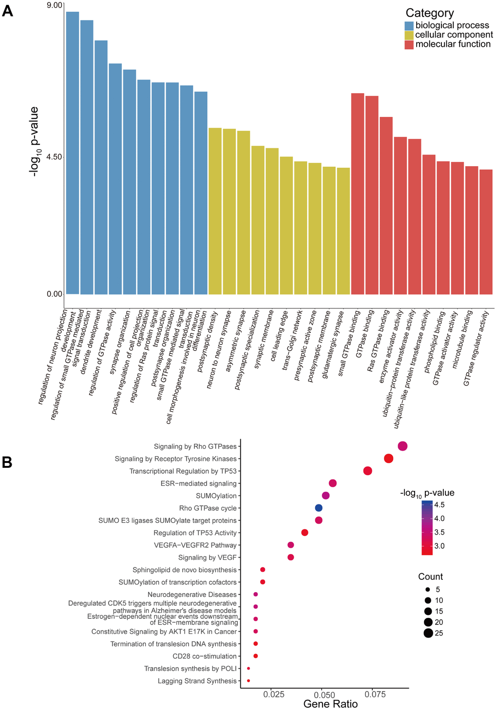 GO enrichment and Reactome pathway analyses of host genes of differentially expressed circRNAs. (A) GO enrichment analysis of host genes for circRNAs with differential expression. The ten most enriched GO terms in the MF, BP, and CC categories for the host genes. (B) Bubble map of Reactome pathway analysis of the top 20 predominant pathways. The X-axis denotes the enriched differential gene ratio in each pathway. The Y-axis represents the name of the significantly enriched pathway. The p-values are expressed by variations from red to blue. A deeper blue color indicates a greater significant difference.