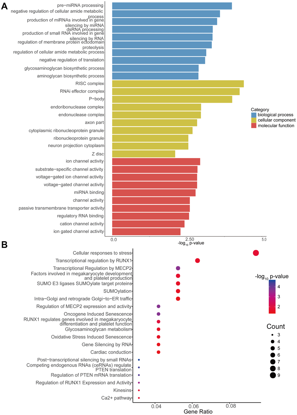 GO enrichment and Reactome pathway analyses of target genes of differentially expressed circRNAs. (A) GO enrichment analysis of target genes for circRNAs with differential expression. The 10 most significantly enriched GO terms in the MF, BP, and CC for the target genes of all miRNAs with differential expression. (B) Bubble map of Reactome pathway analysis of the top 20 predominant pathways. The X-axis denotes the enriched differential gene ratio in each pathway. The Y-axis represents the name of the significantly enriched pathway. The p-values are expressed as variations from red to blue. A deeper blue color indicates a greater significant difference.