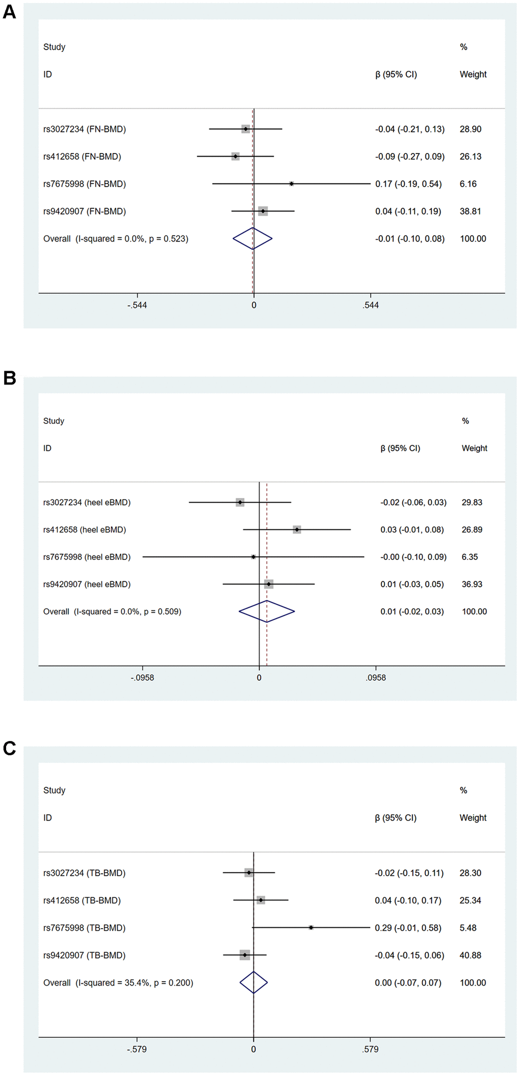 Forest plots for Mendelian randomization estimates of the association of leukocyte telomere length on (A) FN-BMD (B) heel estimated BMD and (C) TB-BMD after excluding rs6028466 (IVW method).