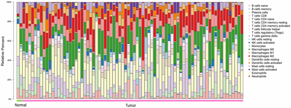 The landscape of 22 TIICs in ESCA, and their proportions in each sample as quantified using CIBERSORT. Normal = 2 samples; tumor = 76 samples. M0, green; M1, pink; M2, red.