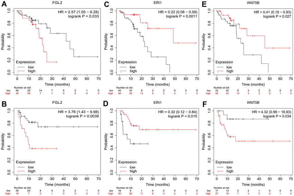 Kaplan-Meier Plotter survival curves. The plots display the effects of FGL2 expression on OS (A), FGL2 expression on RFS (B), ERI1 expression on OS (C), ERI1 expression on RFS (D), WNT5B expression on OS (E) and WNT5B expression on RFS (F) in ESCC patients (n = 81). P 